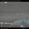 Screen Capture from ORCA AI video