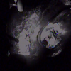 (Screenshot from U.S. Coast Guard video)