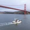Silverback Marine's eGrizzly with Dual P300 EV Motors. © Whit Hassett