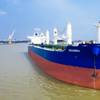 Susesea's bulk carrier MV Bordo Mavi (Credit: Susesea)