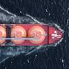 An LNG Tanker-Illustration by alexlmx/AdobeStock