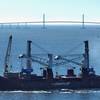 The Seaport Manatee cranes arrive in Florida. PHOTO CREDIT: Seaport Manatee