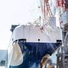 Trans Harmony Green RoRo vessel (Credit: Mitsubishi Shipbuilding)