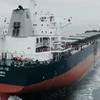 Wärtsilä will upgrade the Wärtsilä RT-flex main engines on two bulk carrier vessels owned by Turkey-based Ulusoy Sealines – ULUSOY 11 and ULUSOY 12. Credit: Wärtsilä