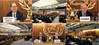 Photos: International Maritime Organization (IMO)