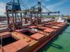 A bulk carrier loads alongside a grain berth. (c) Stock87 / Adobestock