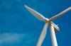 A record 117 gigawatts of wind power capacity was installed worldwide last year, slightly more than in 2023, but far less than needed to achieve goals to decarbonise energy. Credit: Adobe Stock/Byron Moore