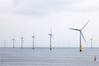 Aberdeen Offshore Wind Farm Image Royal Boskalis Westminster