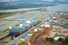 An aerial view of COSCO Shipping Panama in the upper chamber of the Cocoli Locks. Photo by Panama Canal Authority