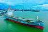ASL Bauhinia container ship (Credit: Asean Seas Line)