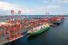 Ocean carriers, terminal operators, dockworkers, truckers, railroads, warehousers and more all must coordinate to move more than $230 billion in goods in and out of the Port of New York and New Jersey annually.(c) Port of NY / NJ