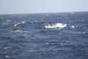 Courtesy USCG