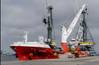 (Credit: Liebherr)