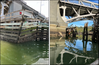 Damage to Hylebos Bridge fender system following the contact. (Source: U.S. Coast Guard)