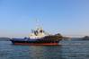 Damen ASD Tug 3212 for TMM Colima Photo Damen