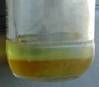 Diesel fuel sample showing water and sediment contamination. (Photo: U.S. Coast Guard)