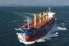 File Image: a dry bulk vessel underway (CREDIT: Norden)