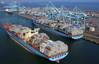 File photo: Maersk containerships at Pier 400 in Los Angeles (Photo: APM Terminals)