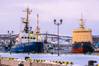 Geopolitical rivalries are intensifying in the Arctic but Russia is willing to cooperate with foreign partners, including from the West, said Putin. Credit: Adobe Stock/Dmitry Vereshchagin