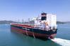 Green Future bulk carrier (Credit: NYK Group)