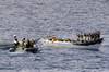 HMAS Melbourne's boarding party intercepts a suspected pirate boat. (Photo: ABIS Jayson Tufrey)