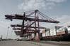 Image: APM Terminals