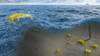 Image: Mocean Energy