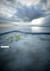 Johan Sverdrup field in the North Sea (rendering: Statoil)