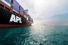 Photo: APL