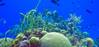 Photo: National Oceanic and Atmospheric Administration