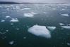 Photo: Ocean Conservancy