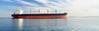 Pic: International Maritime Organization