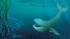 Pic: Ocean Conference, UN