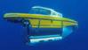 Pic: The manned submersible LULA1000