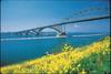PPG coatings have been used to coat more than 1 billion square feet of surface area in the energy, infrastructure and marine markets, including the Peace Bridge connecting the U.S. and Canada across the Niagara River in New York. The Peace Bridge was last painted with PSX coatings nearly 20 years ago and has not yet needed repainting. (Photo: PPG)