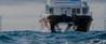 Photo: European Community Shipowners' Associations