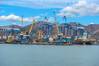 Russian and U.S. experts will discuss ways to ensure the safety of shipping in the Black Sea at talks on Monday. Credit: Adobe Stock/Evdoha