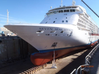 Seven Seas Voyager has been applied with Nippon Paint Marine’s A-LF-Sea hull coating as part of a fleet-wide agreement with Norwegian Cruise Line Holdings (Norwegian)