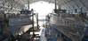 Source: Austal
