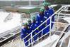 The cadets: Photo Havyard