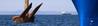 The root cause of many groundings and collisions, lost anchors are among the top five reasons for claims costs Photo DNV GL