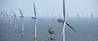 The Sheringham Shoal Offshore Wind Farm. (Photo: Alan O'Neill)