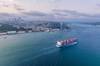 Traffic was suspended in Turkey's Bosphorus strait on Wednesday after a general cargo ship had an engine failure. Credit: Adobe Stock/Mindaugas Dulinskas