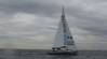 Winz Maru in Tokyo Bay (Credit: MOL)