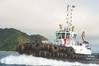 WS Procyon is a powerful 32 meter azimuth escort tug. (Photo: Wilson Sons Towage)