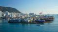 S. Korea Shipyards Soar as U.S. Bill Eyes Navy, USCG Ship Construction Options