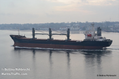 First Big Grain Ship Leaves Ukraine's Black Sea Port