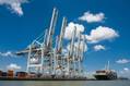 East Coast Dockworkers Strike Halts Half of US Ocean Shipping