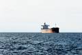 Red Sea: Two Dead, Two Wounded in Latest Houthi Attack on Greek Bulk Carrier