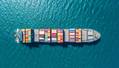Japan's NYK Line Sees COVID-19 Cutting Profit by $557M